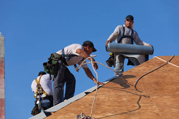 Best New Roof Installation  in Palm River Clair Mel, FL